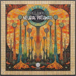 Neural Pathways