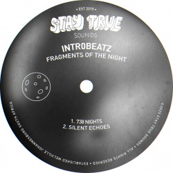 Fragments Of The Night