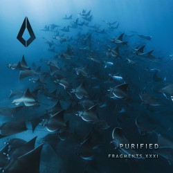 Purified Fragments XXXI
