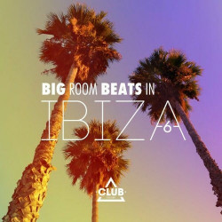 Big Room Beats in Ibiza, Vol. 6