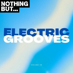 Nothing But... Electric Grooves, Vol. 29