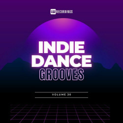 Indie Dance Grooves, Vol. 30