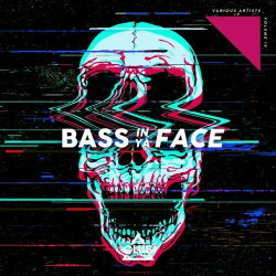 Bass in Ya Face, Vol. 10