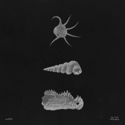 Tenebris