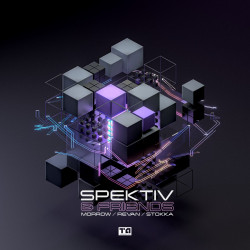 Spektiv & Friends 