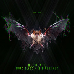 Murcielago / Life Runs Out
