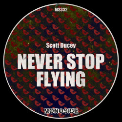 Never Stop Flying 