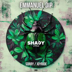 Sorry/Joyride