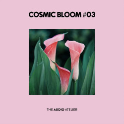 Cosmic Bloom #03