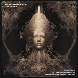 Other Side Remixes