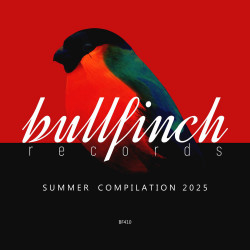 Bullfinch Summer 2025 Compilation