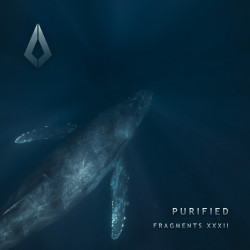 Purified Fragments XXXII EP