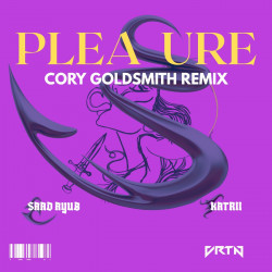 Pleasure (Cory Goldsmith Remix)