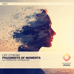 Fragments of Moments