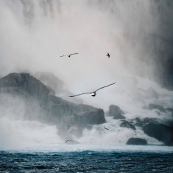 Descend