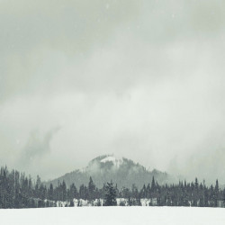 Obsidian Skies