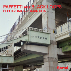 Electronica Romantica