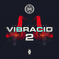 VIBRACID 2 · RAVE ADVENGERS