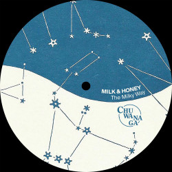 The Milky Way