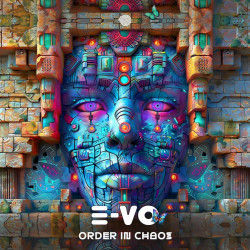 Order in Chaos
