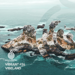 Vibrant Vibeland #26
