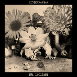 The Incident