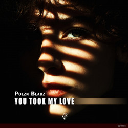 You Took My Love