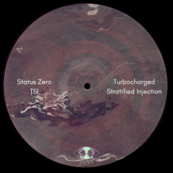 Turbocharged Stratified Injection