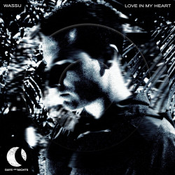 Love In My Heart