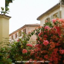I Was Made For Loving You