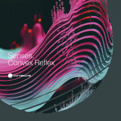 Convex Reflex 