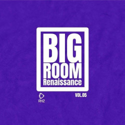 Big Room Renaissance, Vol. 5