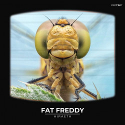Fat Freddy