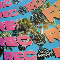 Palm Tree Hill 