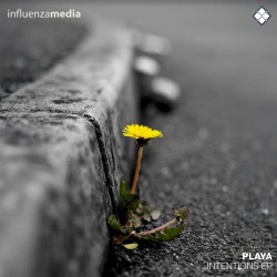 Intentions 