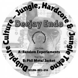 The Random Experiments 