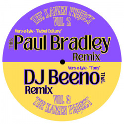The Kaizen Project vol.2 - The Paul Bradley & DJ Beeno Remixes (TKP-008)