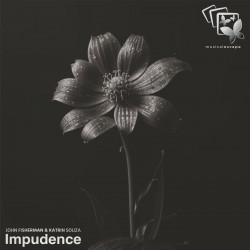 Impudence