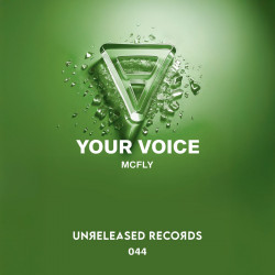 Your Voice