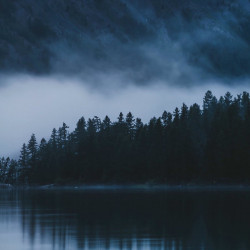 Shadows In Blue