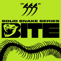 Solid Snake Series 01