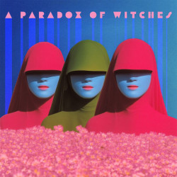 A Paradox Of Witches