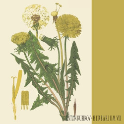 Herbarium VII