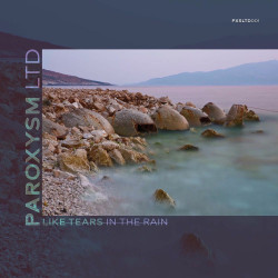 Like Tears in the Rain
