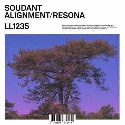 Alignment / Resona