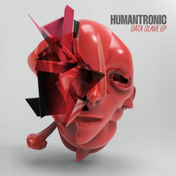 Data Slave