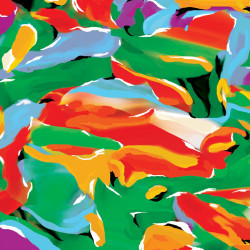 Birds of Paradise