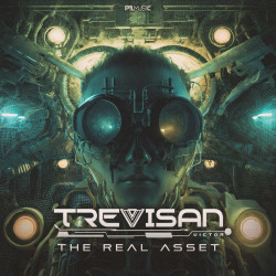 The Real Asset