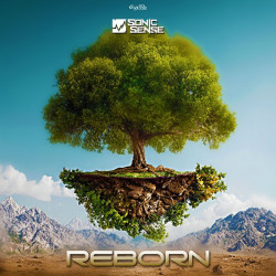 Reborn