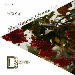 Sentiment Granules, Vol. 4